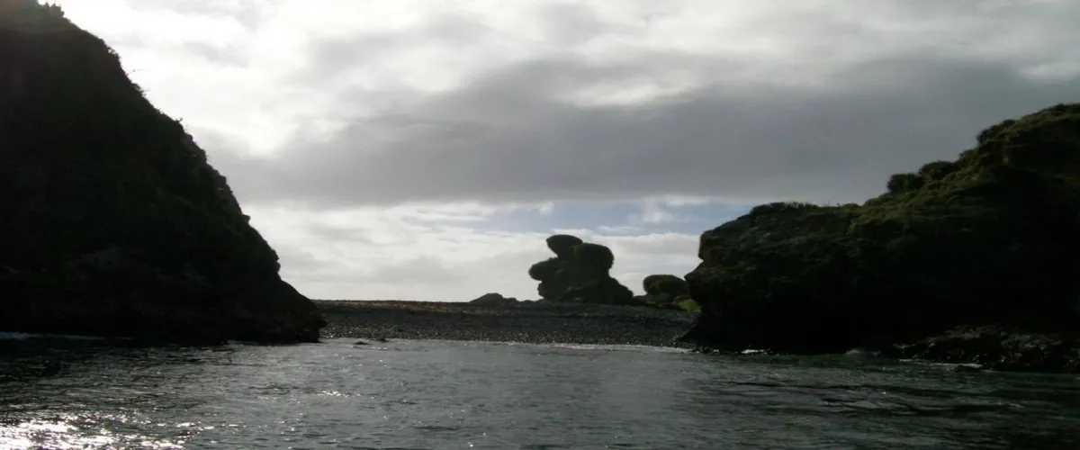Foto 4 Chiloe Island Penguin Colony