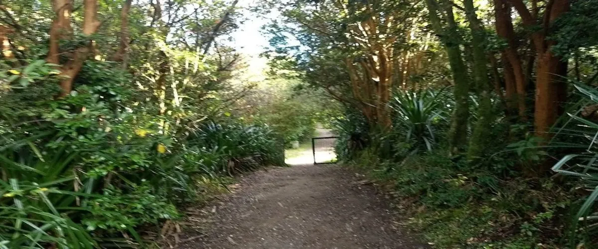 Foto 4 Fuerte Ahui