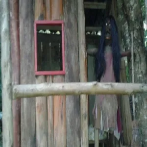 Foto de Parque Ecológico y Mitológico de Chiloé