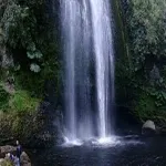 Foto 5 Cascadas de Tocoihue