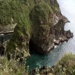 Foto 1 Chiloe Island Penguin Colony