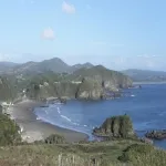 Foto 3 Chiloe Island Penguin Colony